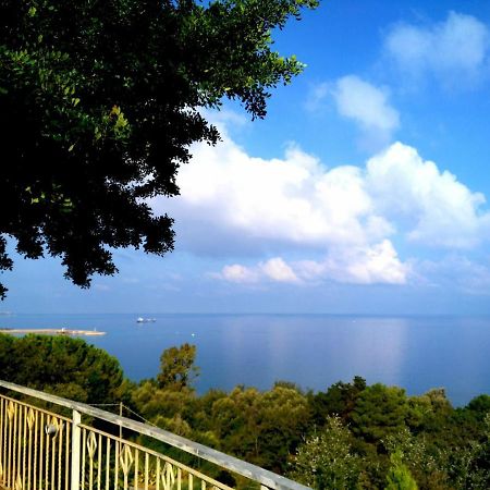 Villa Desideria A Pizzo Πίτσο Εξωτερικό φωτογραφία